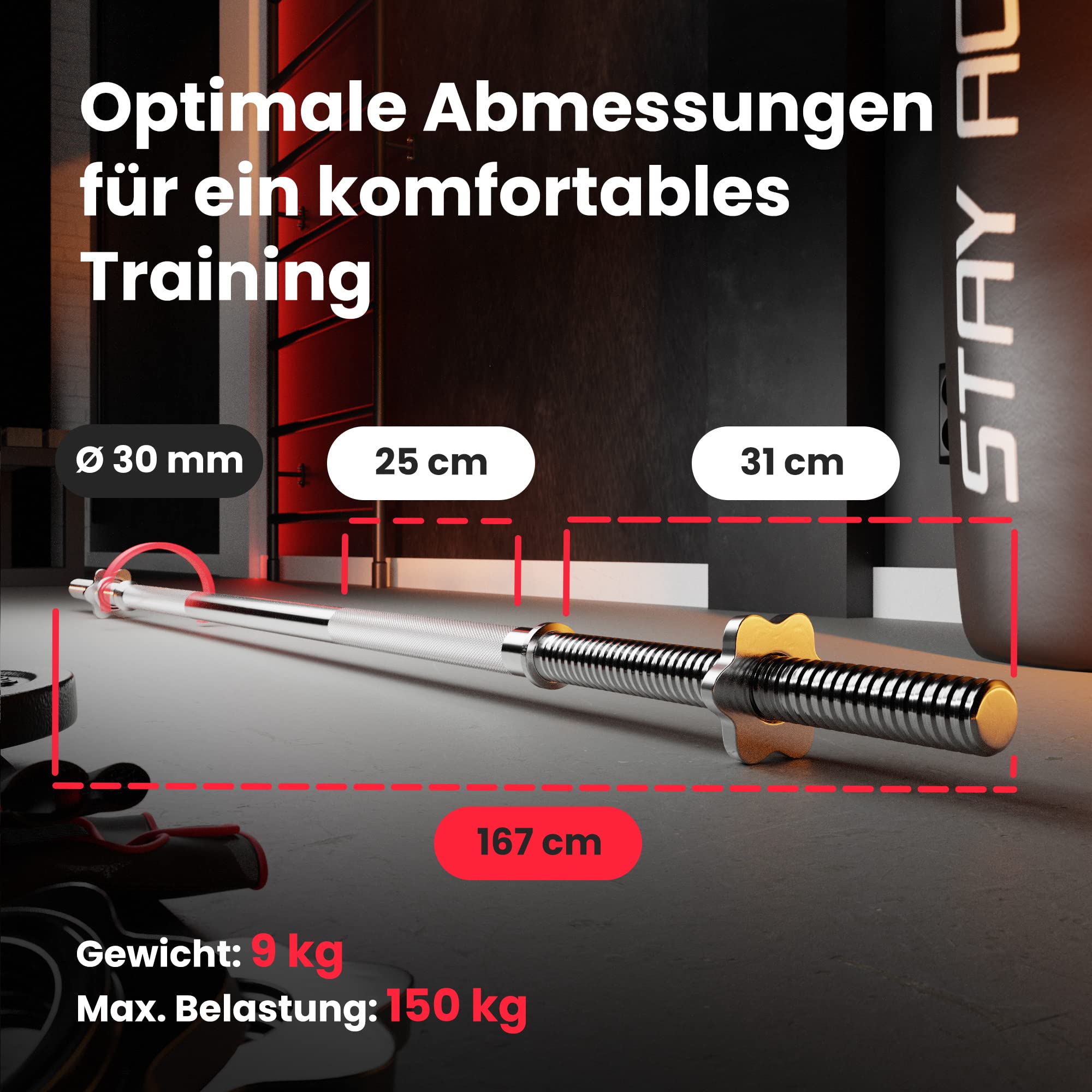Hop-Sport Hantelbank HS-1055 – Klappbar mit Curlpult, Butterfly & 38–129,5 kg Set