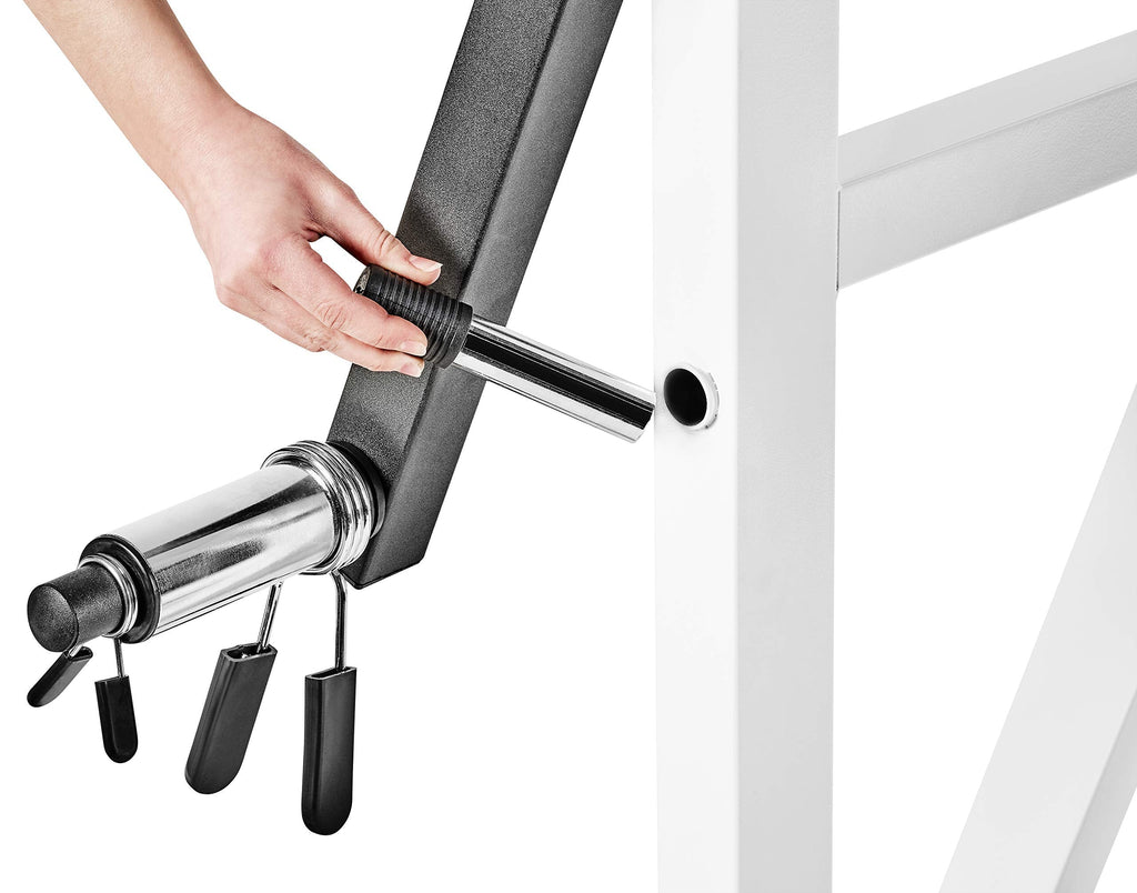 Bad Company Bizeps/Trizeps Curl Maschine – Hantelablage bis 80 kg