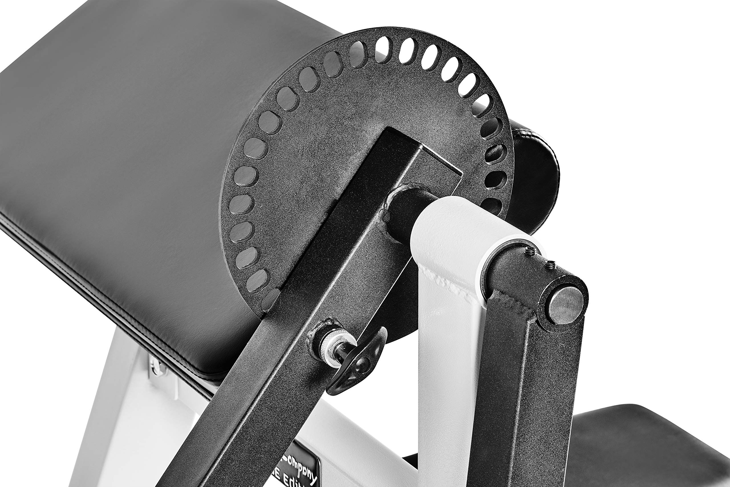 Bad Company Bizeps/Trizeps Curl Maschine – Hantelablage bis 80 kg